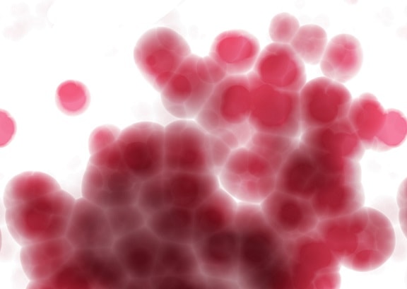 amostra de sangue
