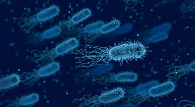 Tinta antimicrobiana