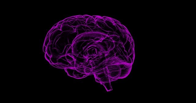 Representação gráfica do cérebro de um paciente com Alzheimer.