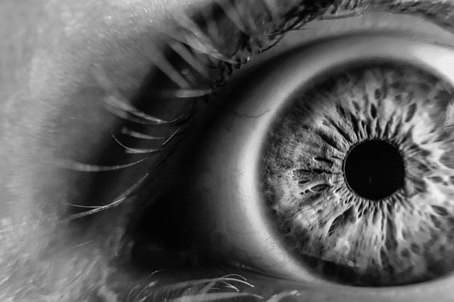 Quais os tipos de lesão melanocítica ocular?