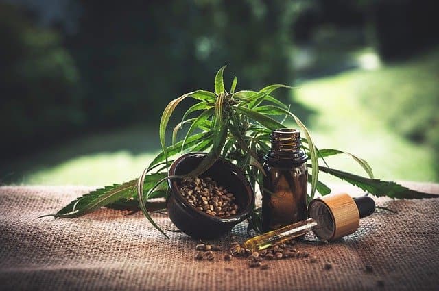 O uso de cannabis por mulheres no menacme pode reduzir a fertilidade?