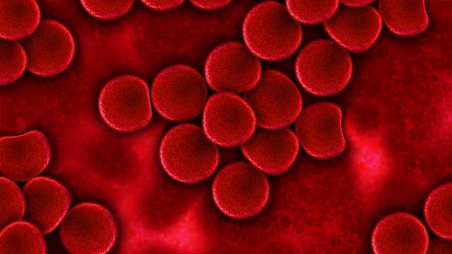 Anticoagulação e sangramento: como manejar?