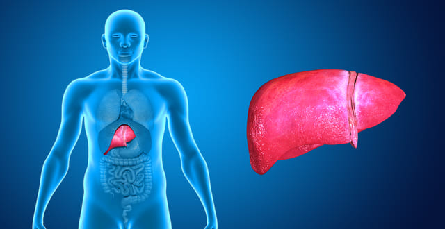 Hepatite C é uma infecção que ataca o fígado