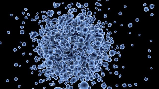 Diagnóstico de meningite criptocócica em HIV: análise da acurácia do antígeno criptocócico