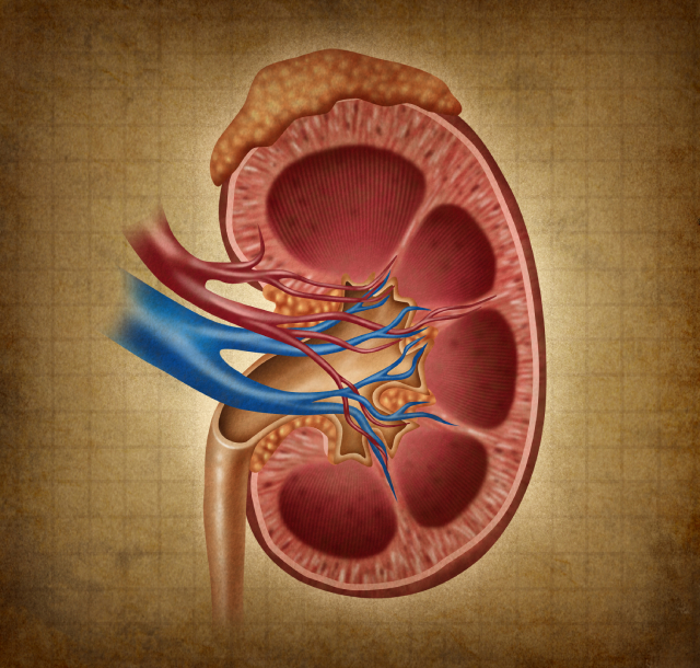 Há benefício no início de diálise de forma mais precoce para os pacientes? Confira no artigo da Revista PEBMED - Terapia Intensiva.