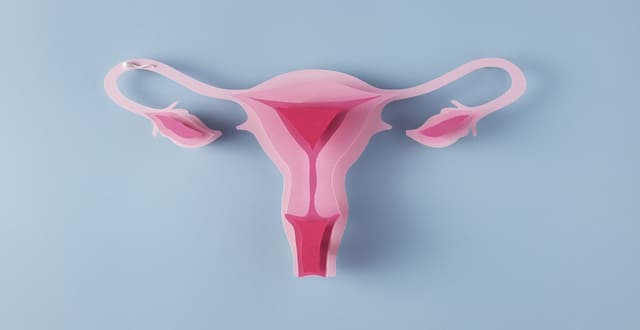câncer de colo uterino