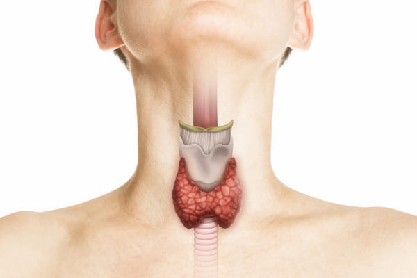 tireoide