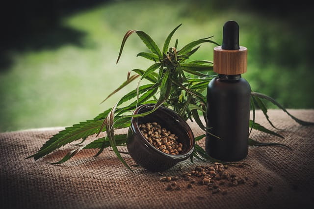 Cannabis medicinal para transtornos psiquiátricos