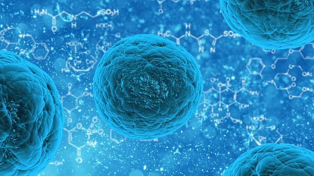 Profilaxia primária para Peritonite Bacteriana Espontânea benefício ou risco