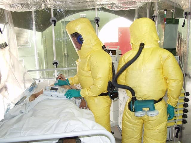 OMS confirma ocorrência de surto do vírus Marburg