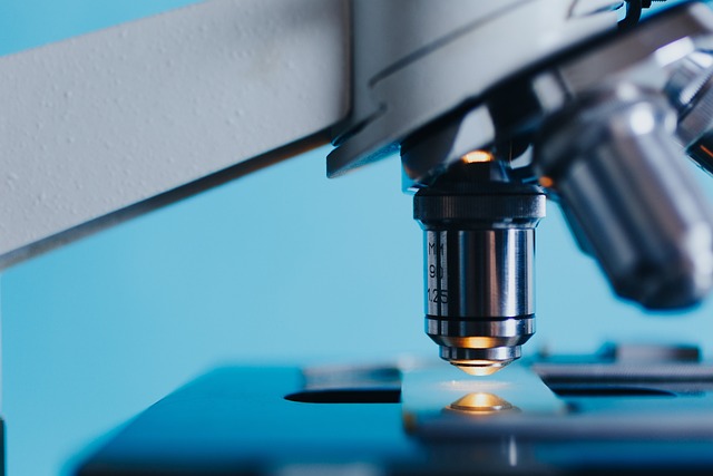 Staphylococcus lugdunensis conheça as principais síndromes clínicas